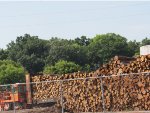 Expera Wood Pulp Plant